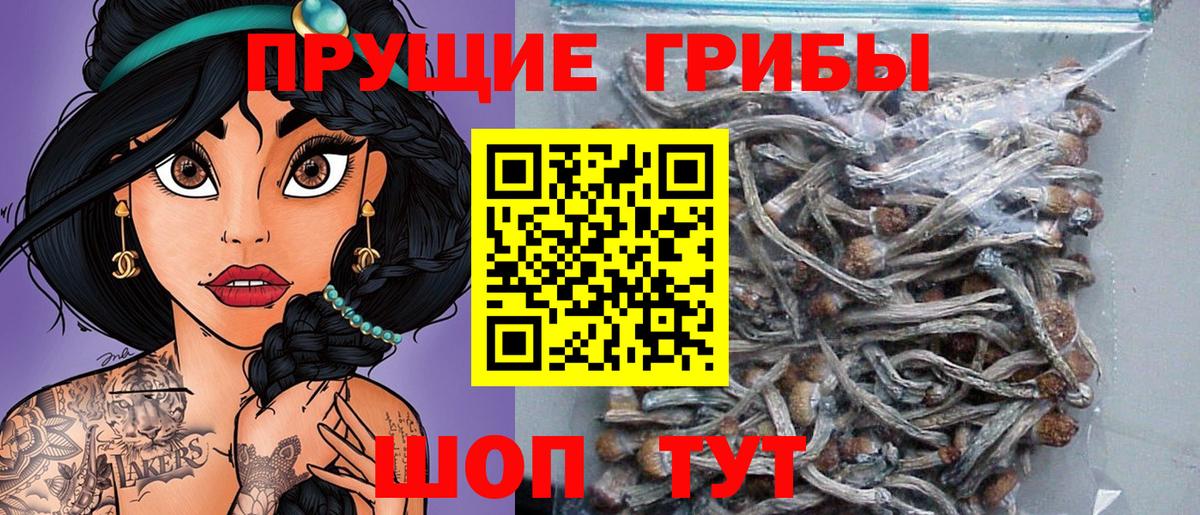 Псилоцибиновые грибы мухоморы  Вход с VPN  Калининград 
